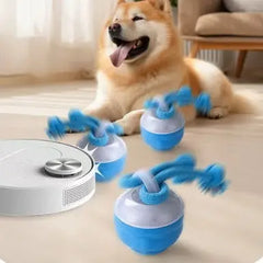 Interactive Pet Rolling Ball Toy USB Rechargeable RS Market