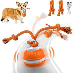Interactive Pet Rolling Ball Toy USB Rechargeable RS Market